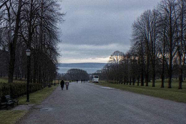 Oslo: Oslo Discovery Tour with 2 Museums Included