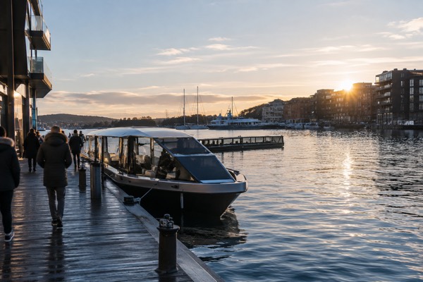 Guided Premium Silent Boat, Oslo
