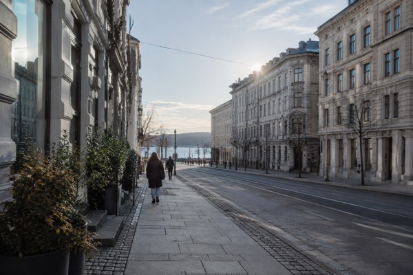 Private Walk, 2 to 6 Hours, Oslo
