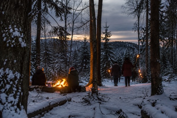 Torchlit Forest Walk, Campfire, Oslo