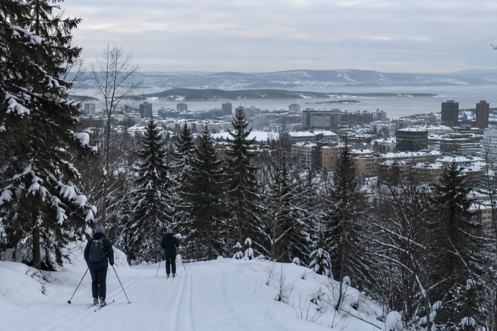 Groomed cross-country ski trail through snowy pine forest above Oslo