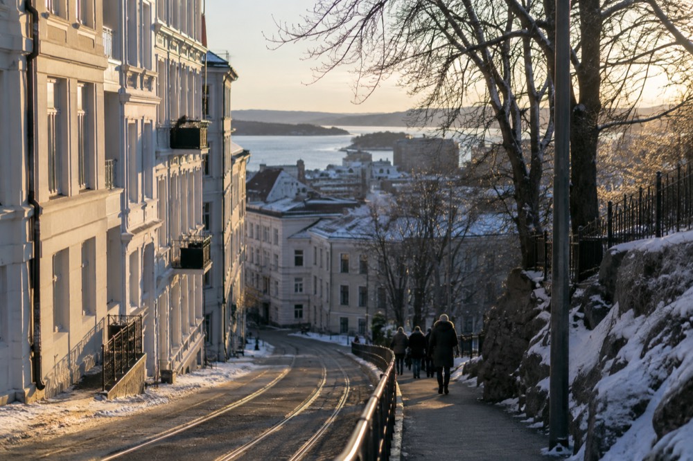 Forest trail above Oslo with the fjord visible in the distance