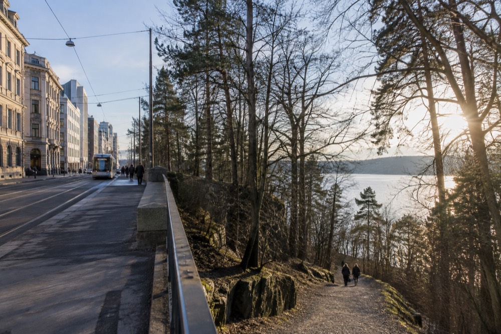 Forest trail at the edge of Oslo with fjord water visible between trees