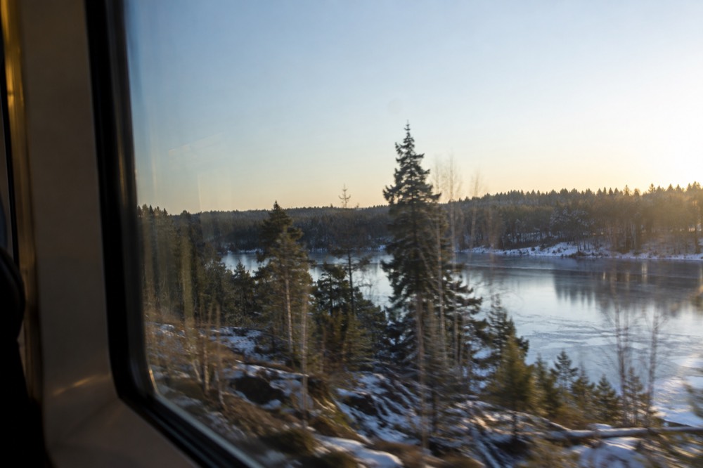 Pine forest and a small lake seen from a train window in southern Scandinavia