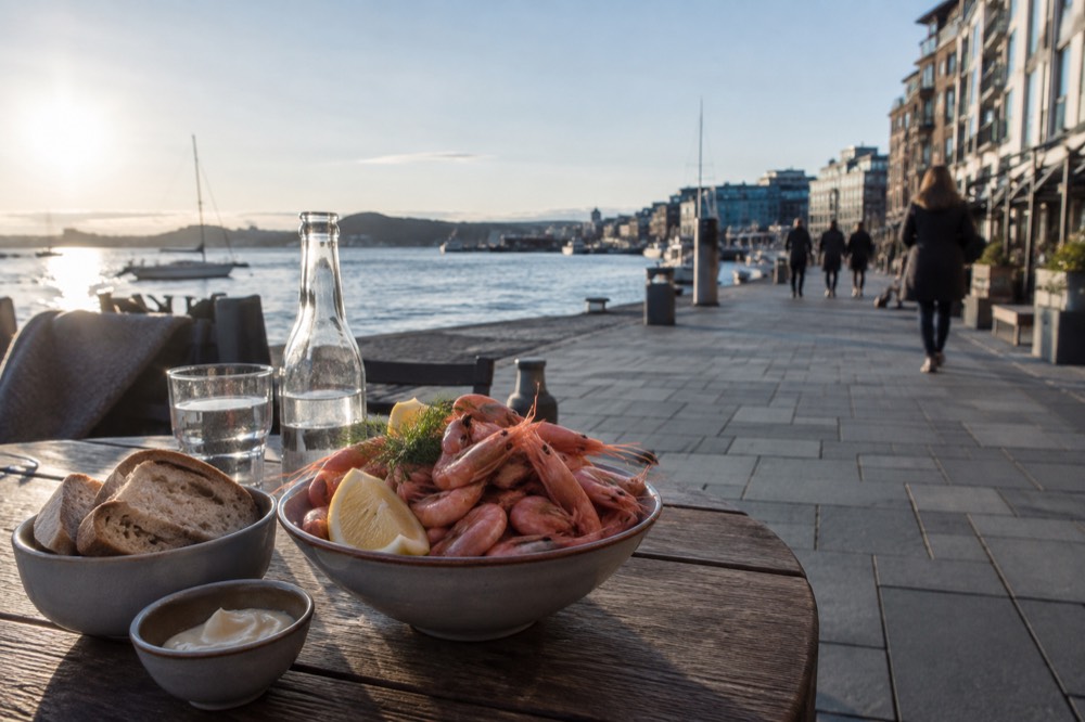 Cold fjord shrimp piled in a bowl with lemon and bread on a waterfront table