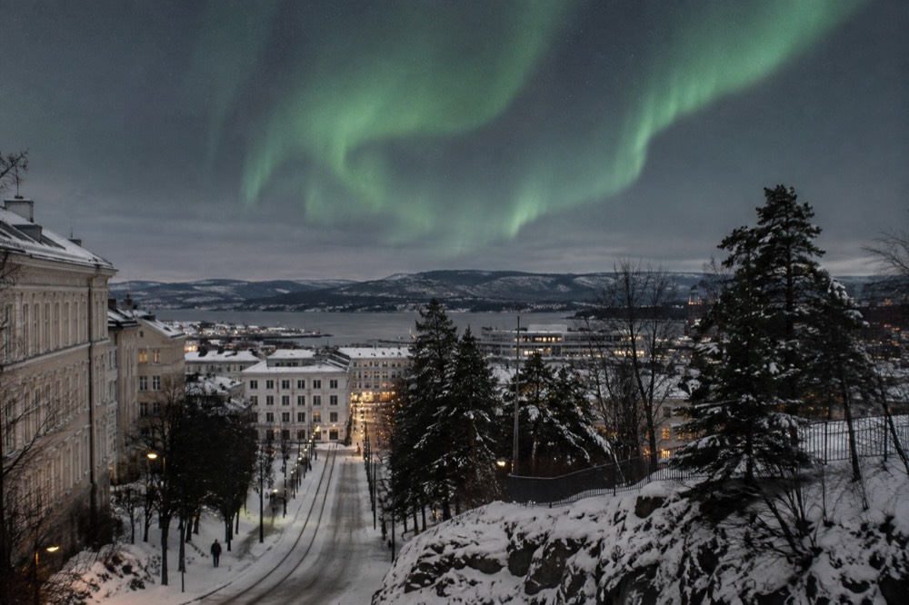 Green northern lights above a dark snowy landscape with pine trees
