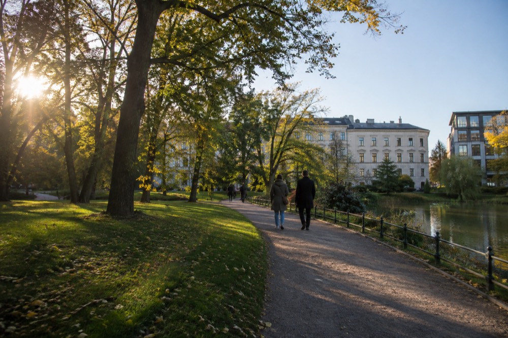 Stone pathway through a quiet park with tall trees and visitors in daylight