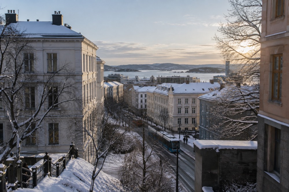 Snow-covered rooftops of Oslo under a pale blue winter sky
