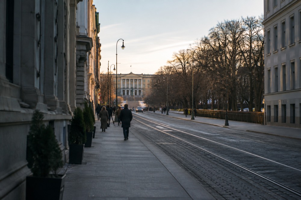Statue and tree-lined avenue leading toward a palace building