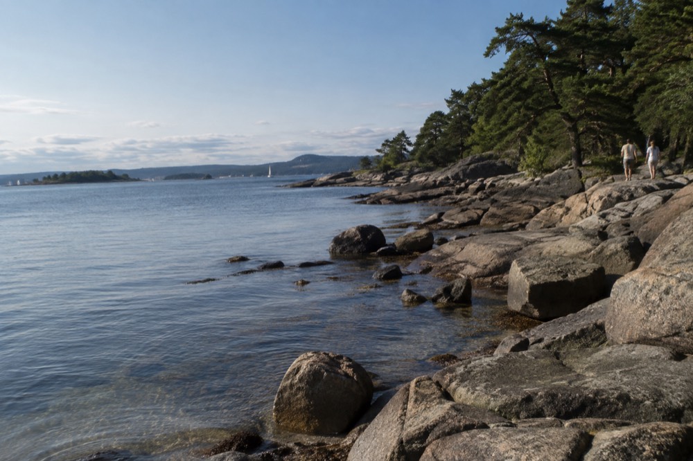 A rocky beach with clear water and pine trees on a calm summer day