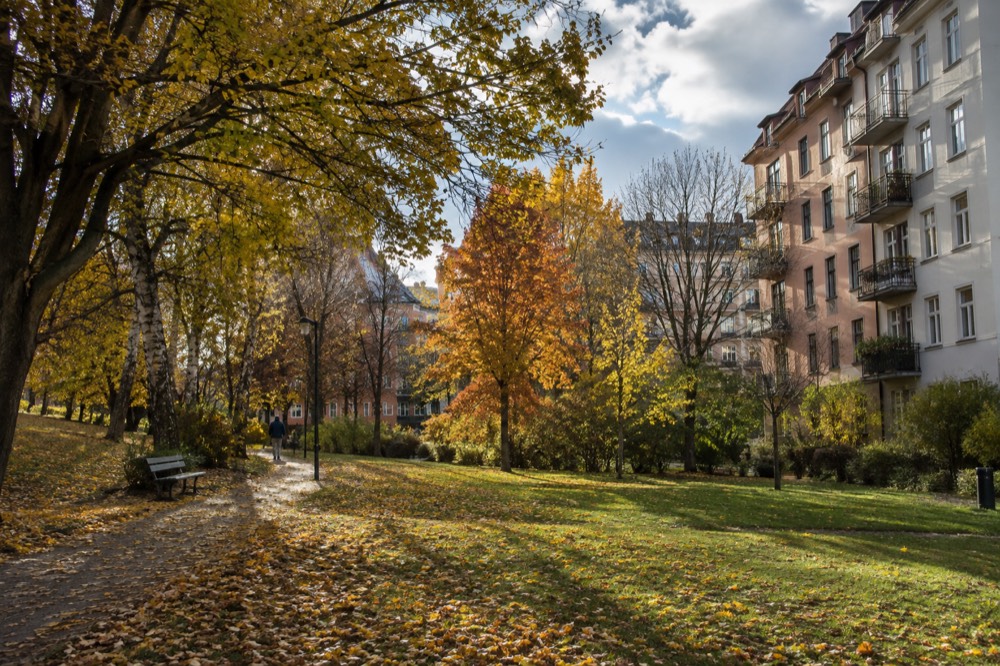 People-free view of a park with autumn trees beside apartment blocks