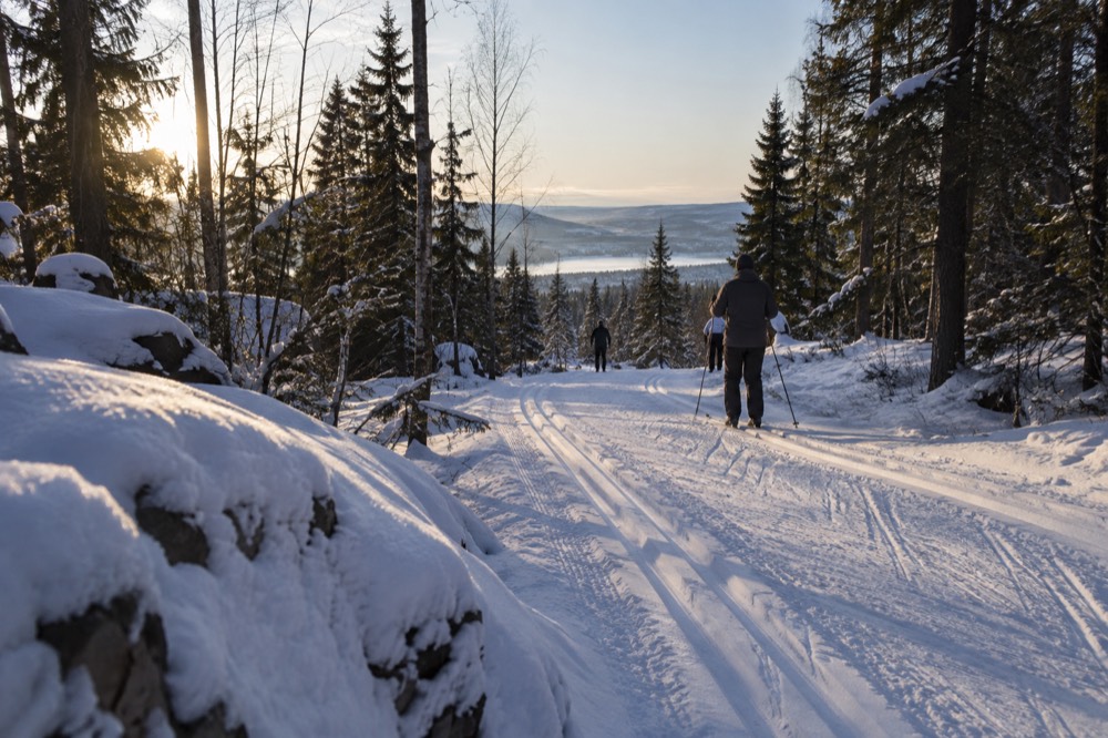 Cross-country ski tracks through the forest near the Holmenkollen jump in winter