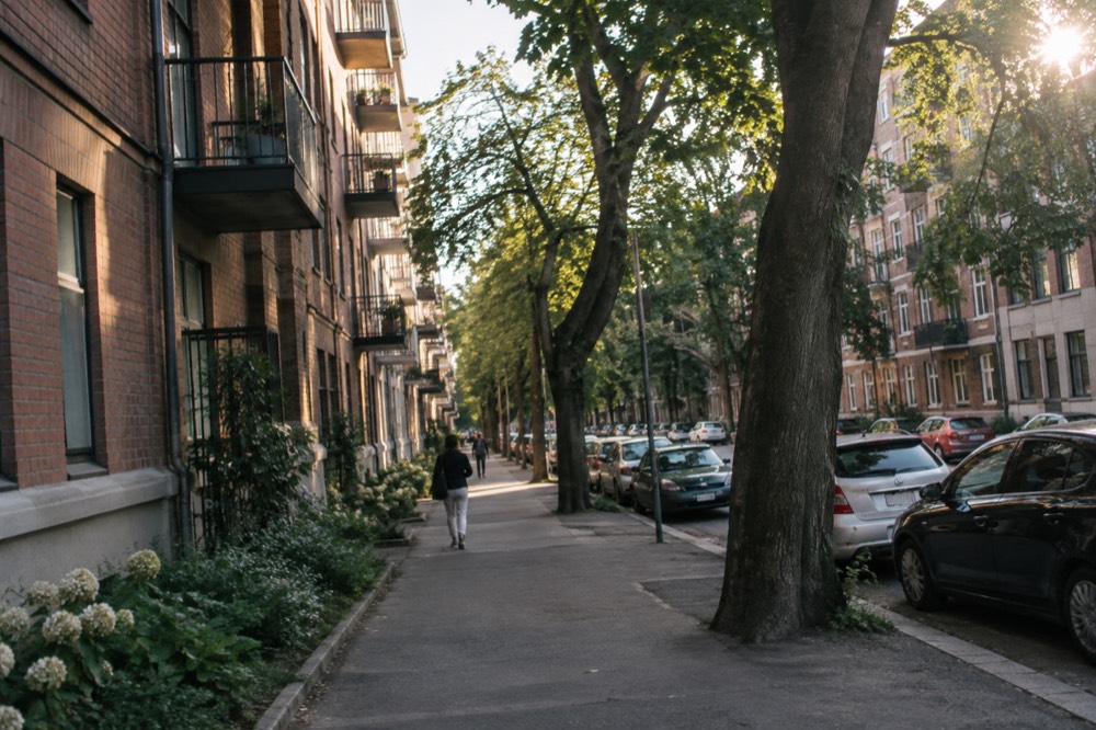 Classic Oslo brick apartment buildings with balconies on a leafy Majorstuen street