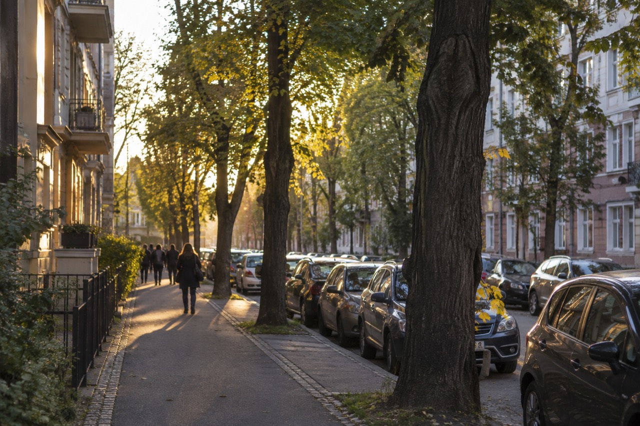 Tree-lined residential street with classic Oslo apartment buildings in the Majorstuen area