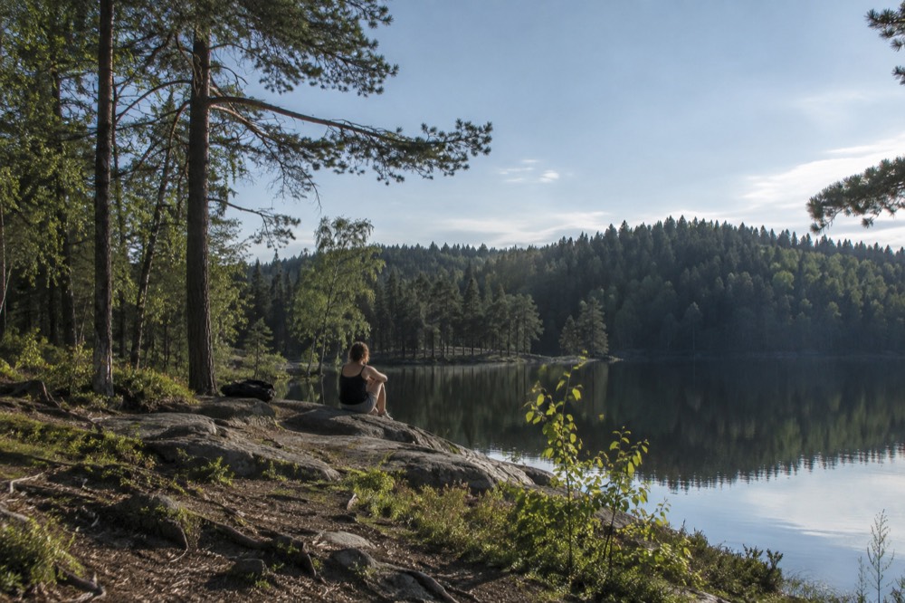 A calm forest lake reflecting pine trees under a summer sky