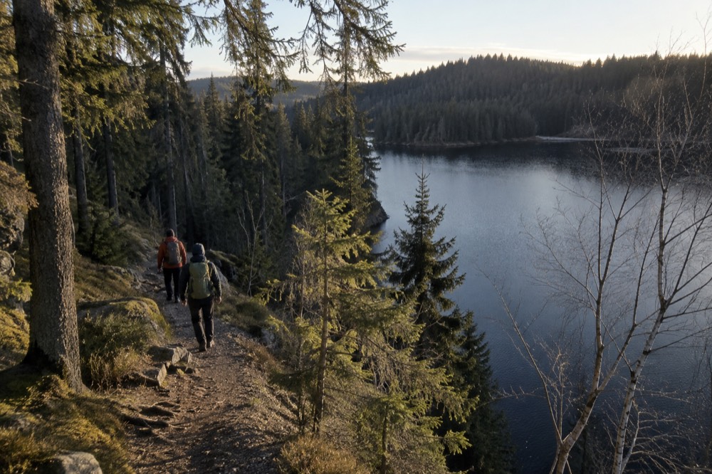 Hikers in layered outdoor clothing walking a forest path beside a dark lake