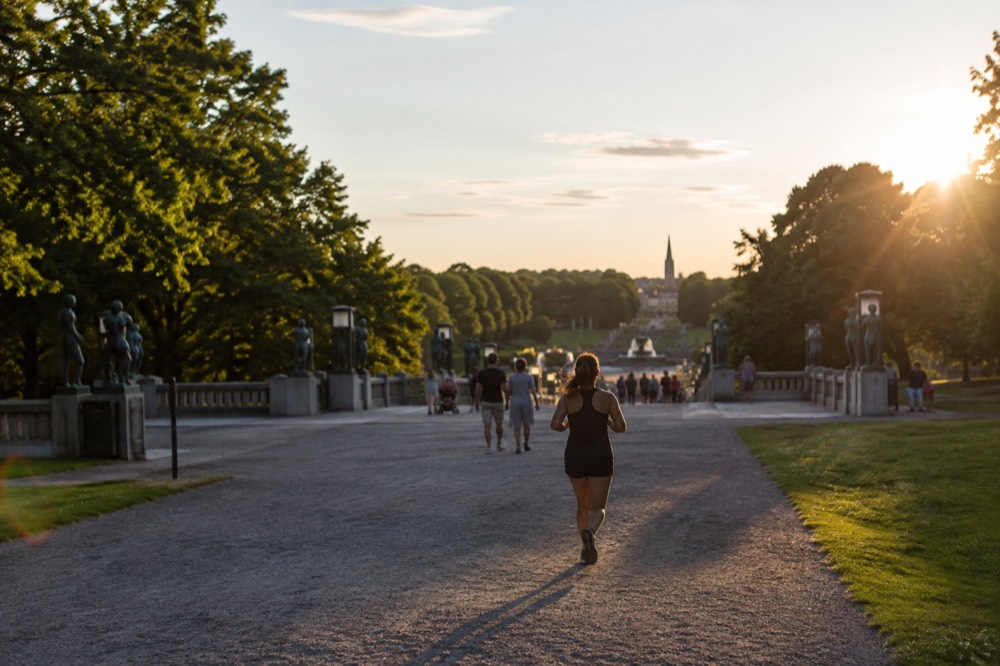 Path lined with trees and sculptures in Frogner Park in summer