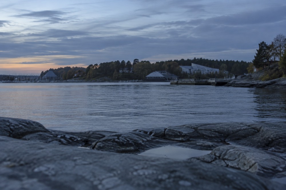 Green forested peninsula shoreline with museum buildings seen across the water