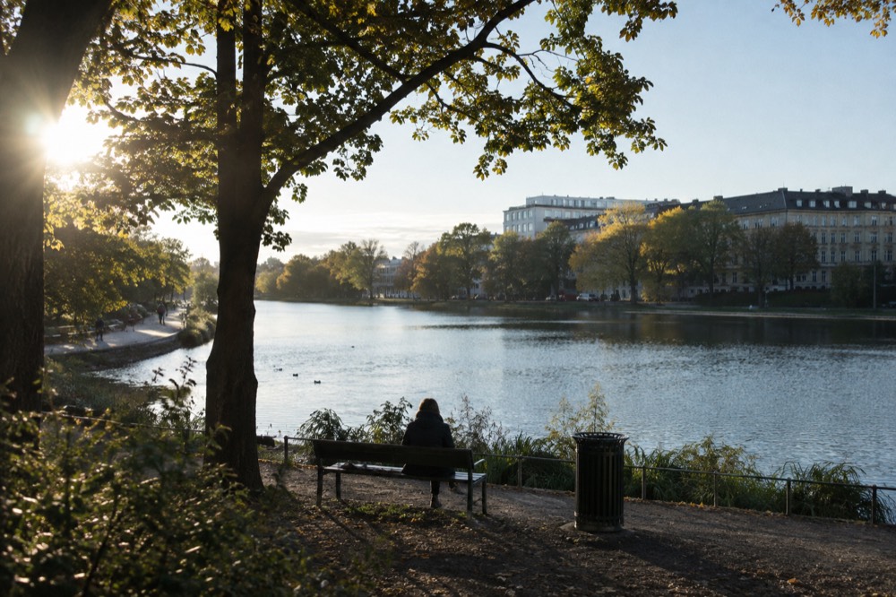 A small lake ringed by trees with benches along a gravel path