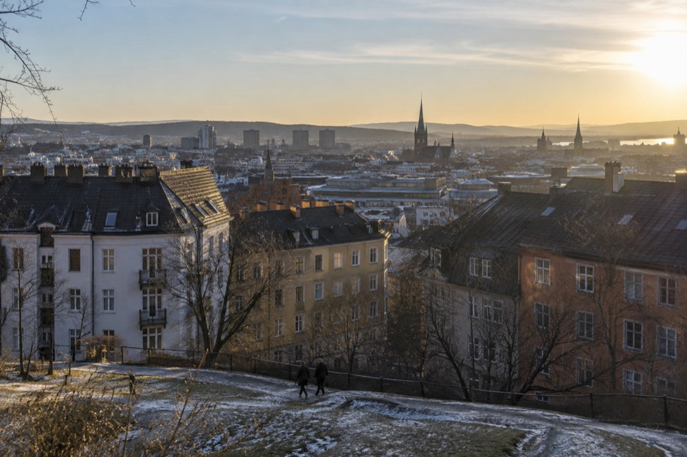 A city rooftop view from a hilltop park with church spires and distant water