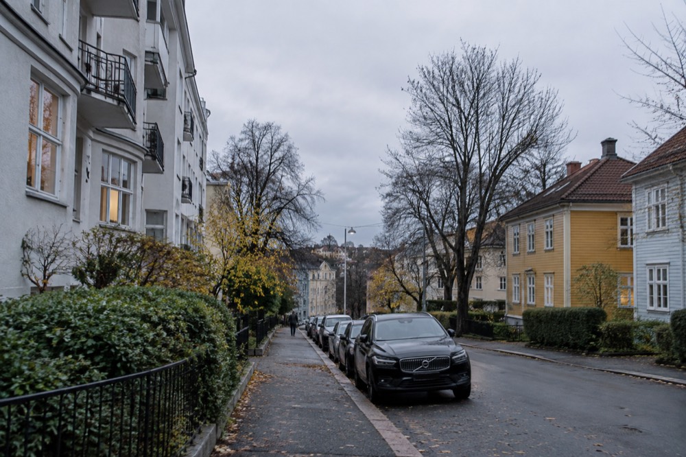 A residential street of apartment buildings and painted wooden houses with trees