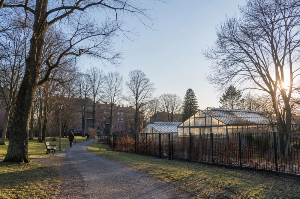 Green park path with mature trees and glasshouse buildings behind a fence