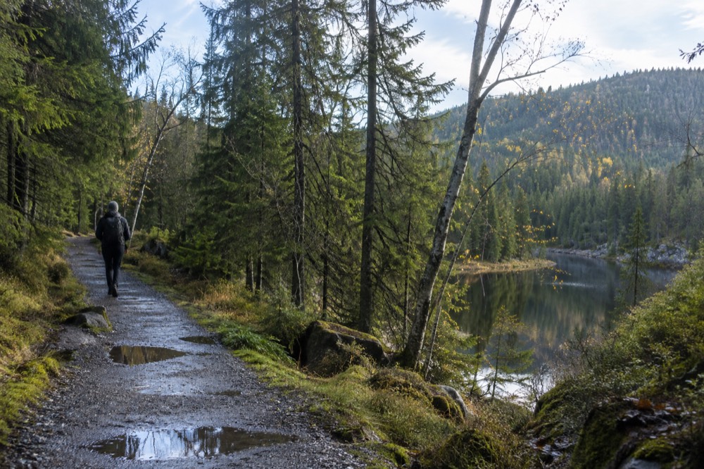 Forest path at the edge of Nordmarka north of the city