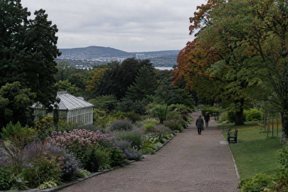 Tree-lined gravel path through a green city garden with flower beds on either side