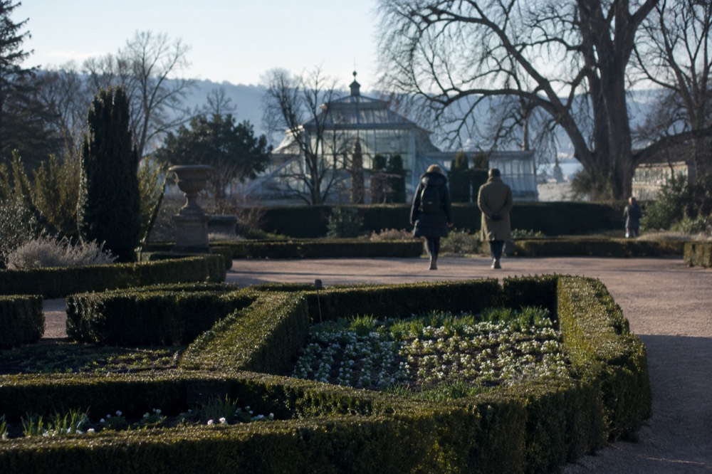 Formal flower beds bordered by trimmed hedges in a city park