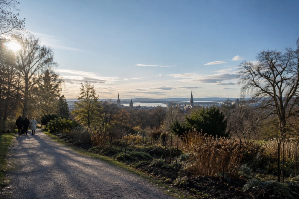 City skyline with church spires seen beyond treetops from a garden path