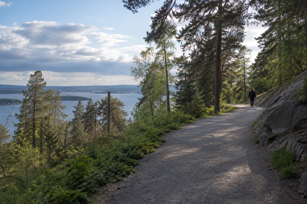 Gravel path curving through dense green forest on a hillside