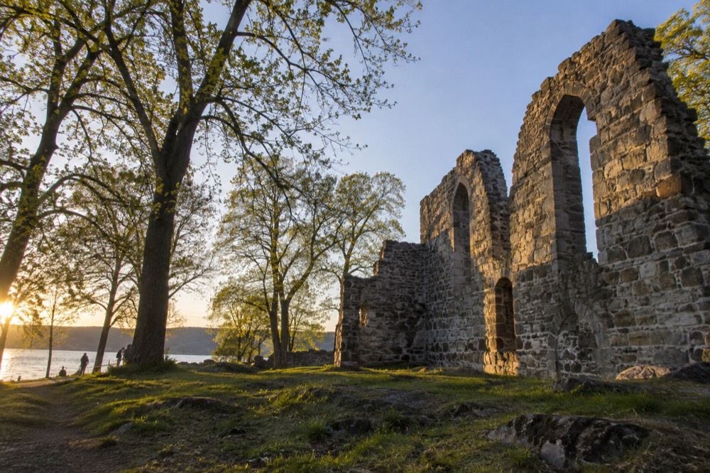 Stone ruins of an old abbey wall standing among trees on an island