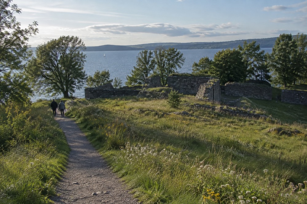Grassy meadow with wildflowers and a path leading toward stone ruins