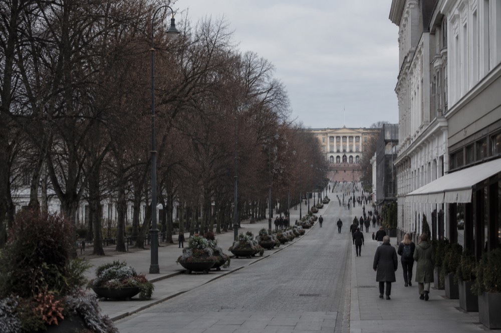 Tree-lined avenue leading toward a large palace building with a flag on top