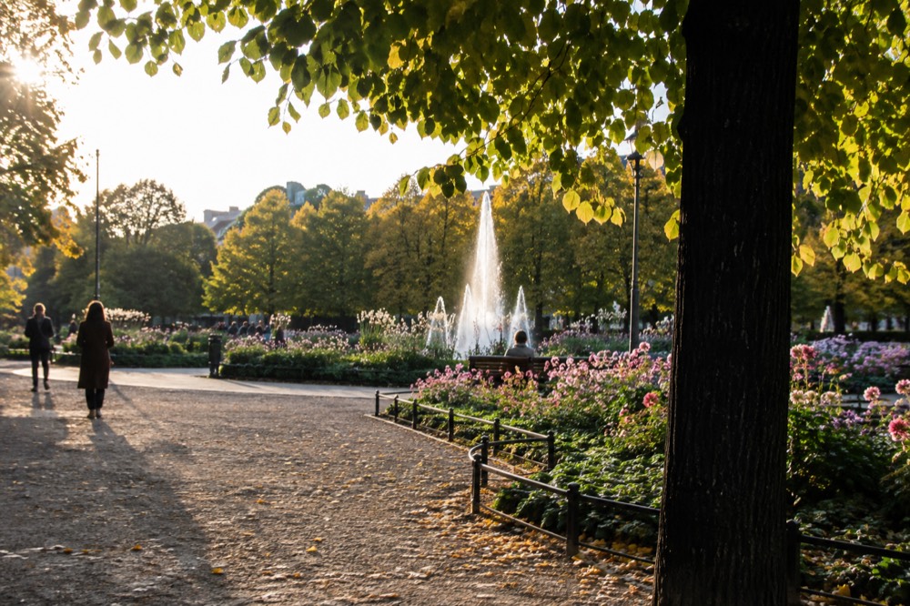 Public park with tree-lined gravel paths and flower beds around a fountain