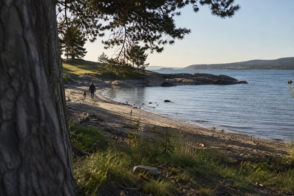 Sandy beach with clear shallow water and grassy slope behind it on an island