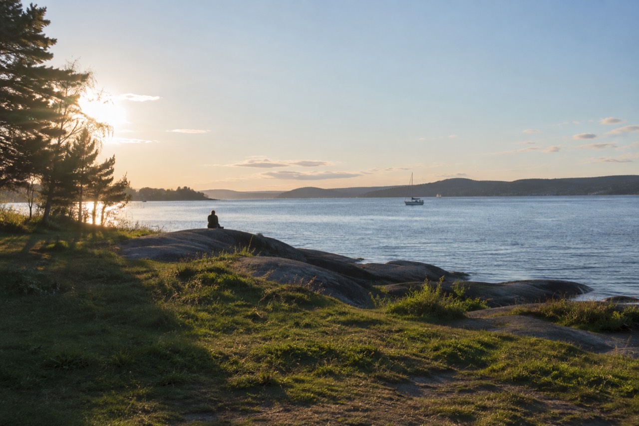 Grassy Langøyene island shoreline with smooth rocks and calm Oslofjord water