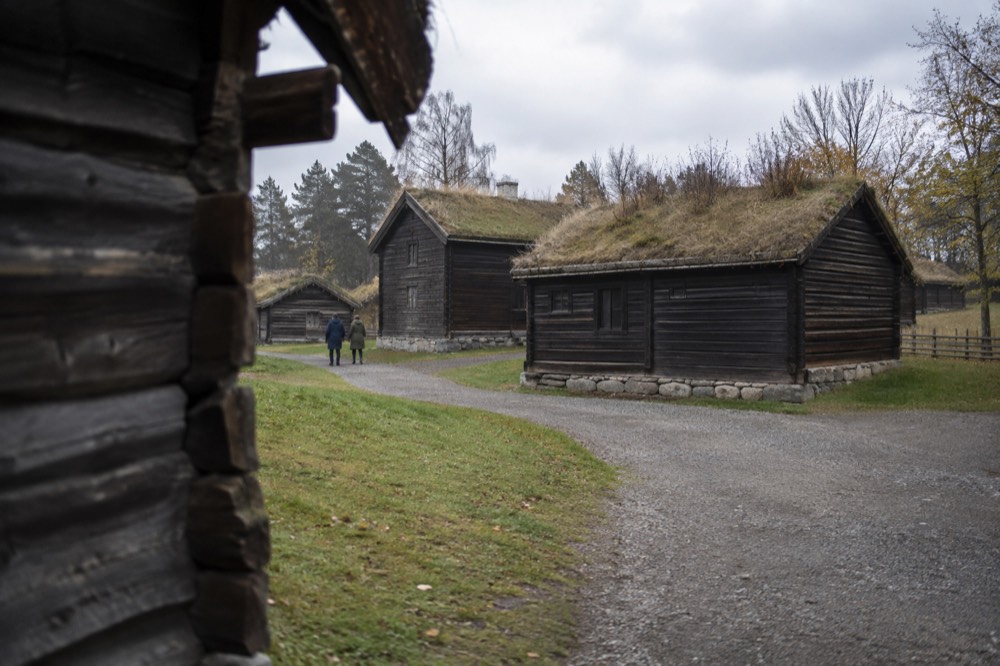 Timber farm buildings with grass roofs along a gravel path at an open-air museum