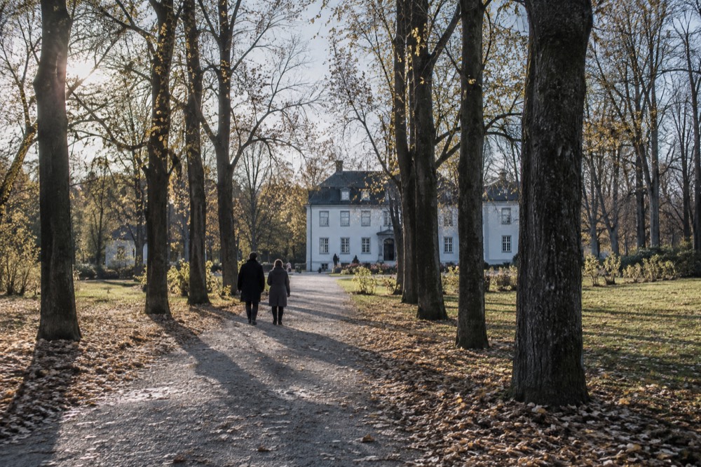 Tree-lined path leading to a manor house at the edge of a city park