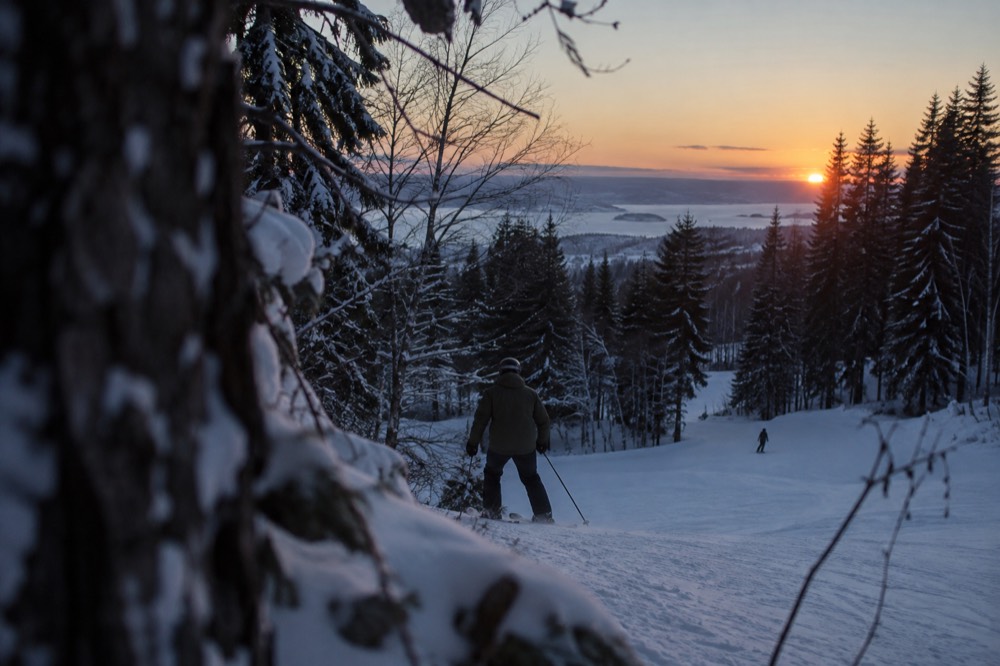 Low sun hanging just above the tree line over a snowy hill at midday