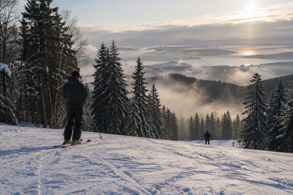 Fog rolling over dark pine trees on a winter hillside