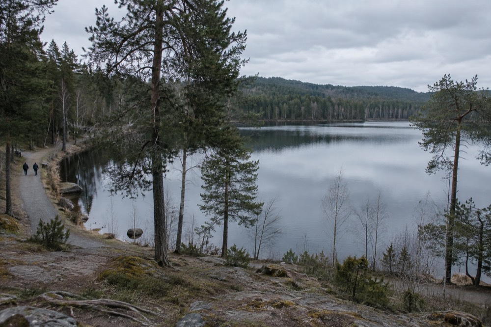A calm forest lake surrounded by pine trees with a gravel path along the shore