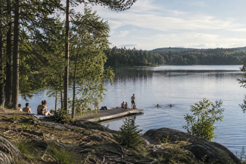 People swimming from a wooden dock into a calm forest lake on a summer day