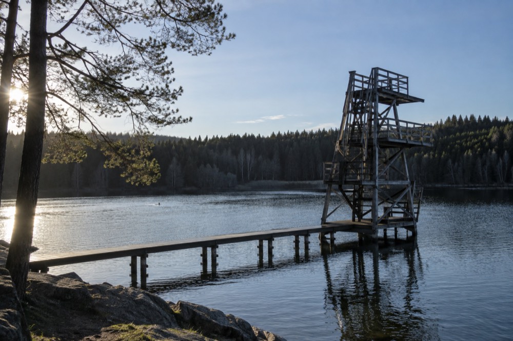 A wooden diving tower standing over a calm lake with forest behind it