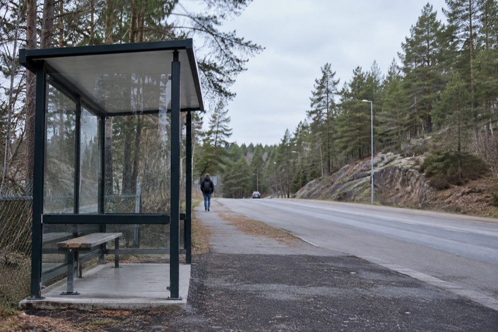 A bus stop shelter on a rural road with pine forest behind it