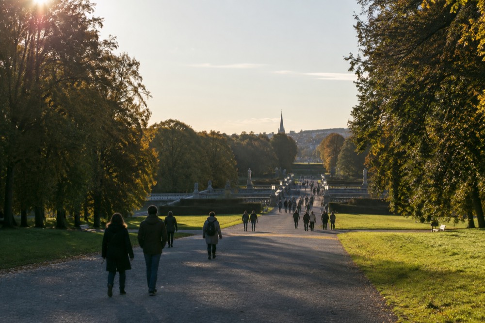 A wide gravel path through parkland with trees on both sides