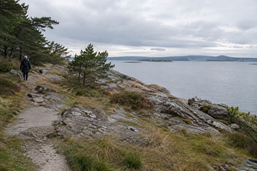 Rocky shoreline path with grass and low trees on a small fjord island