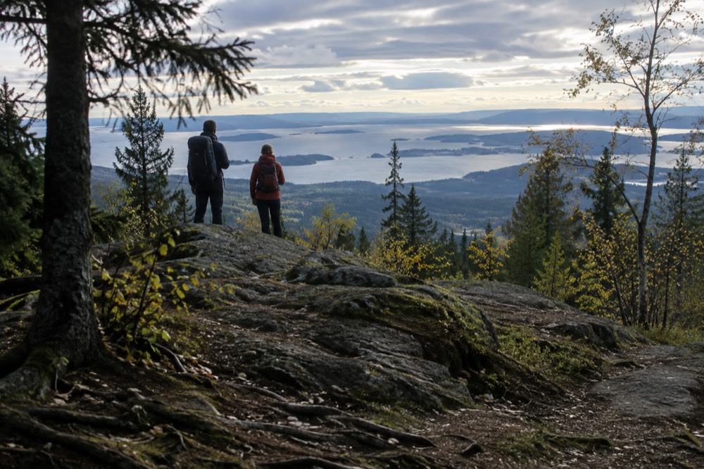 Hikers with backpacks on a ridge overlooking the Oslofjord