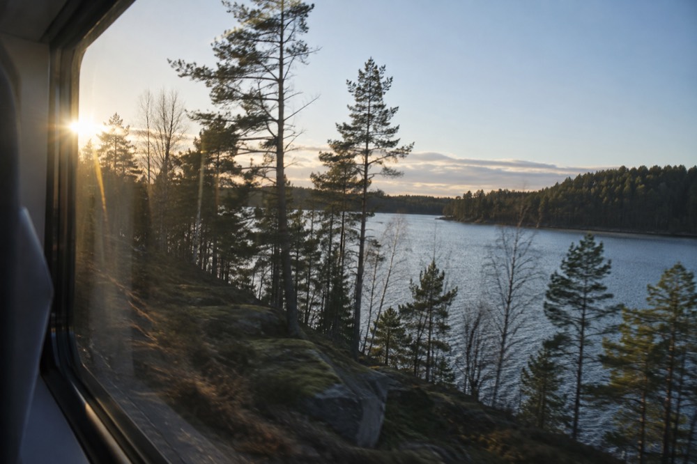 Pine forest and a lake seen from a train window in Scandinavia