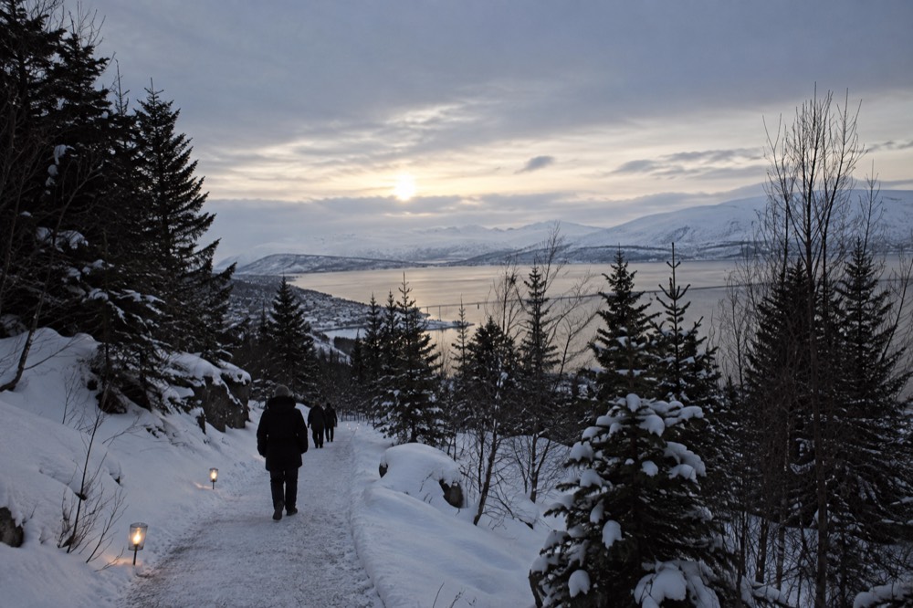 Torchlight path through a snowy pine forest at night